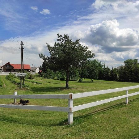 Agroturystyka Kobylnica Nad Wisla Exterior foto