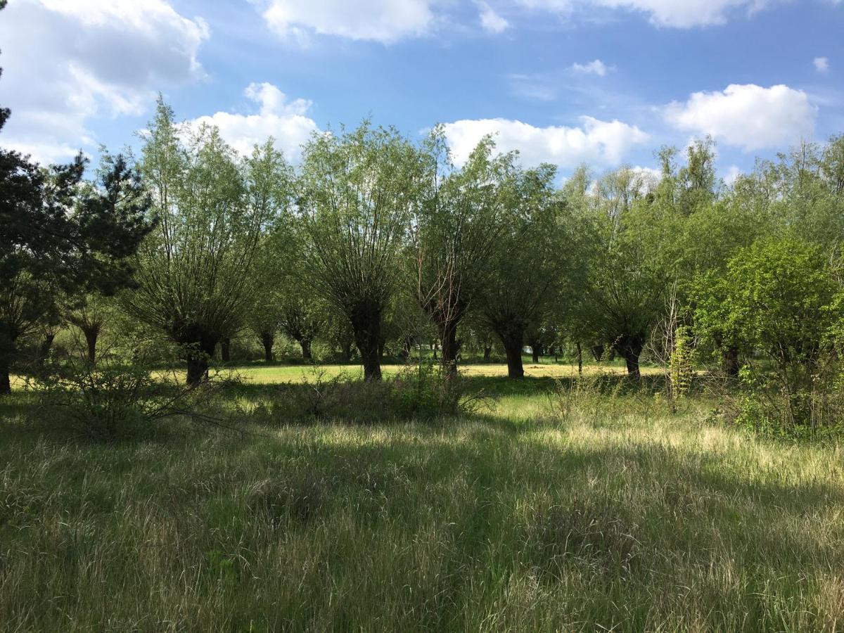 Agroturystyka Kobylnica Nad Wisla Exterior foto