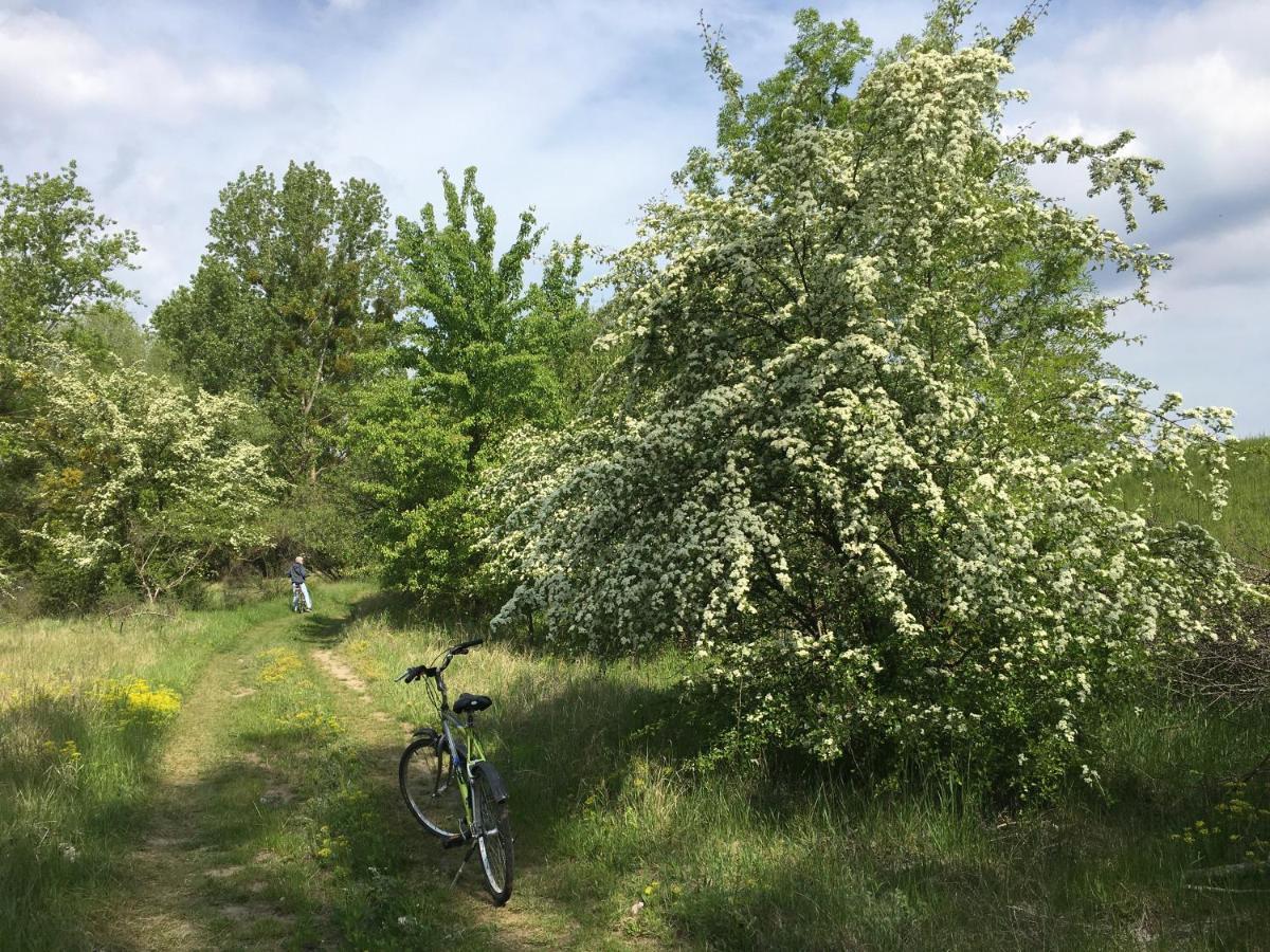 Agroturystyka Kobylnica Nad Wisla Exterior foto