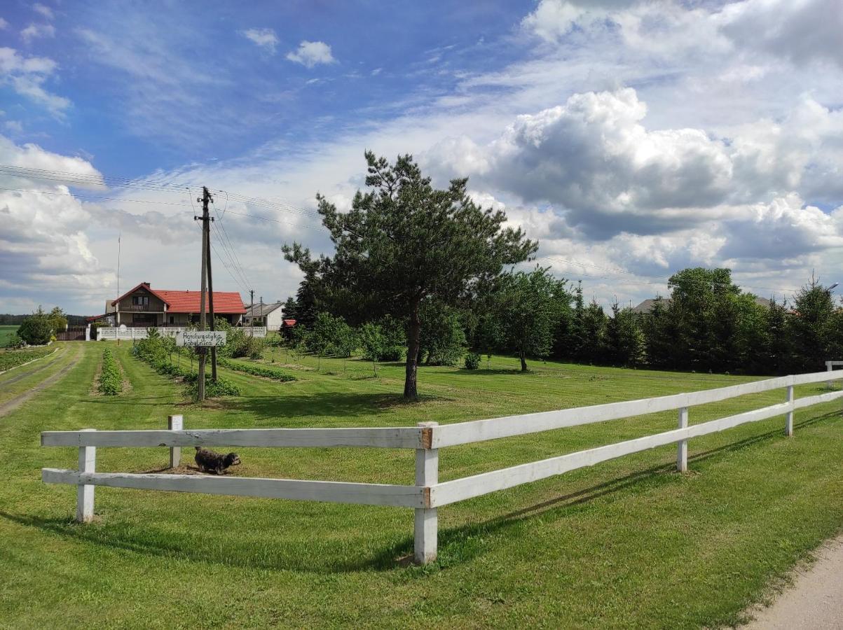 Agroturystyka Kobylnica Nad Wisla Exterior foto