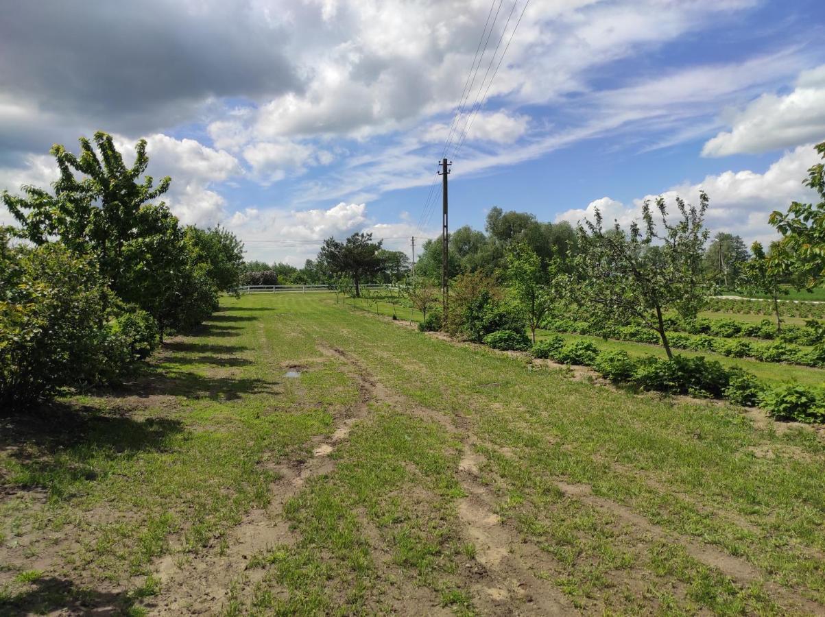 Agroturystyka Kobylnica Nad Wisla Exterior foto