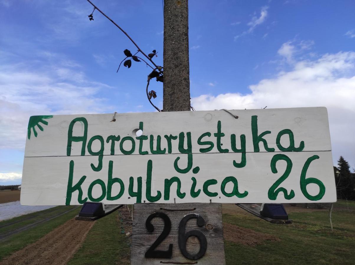 Agroturystyka Kobylnica Nad Wisla Exterior foto