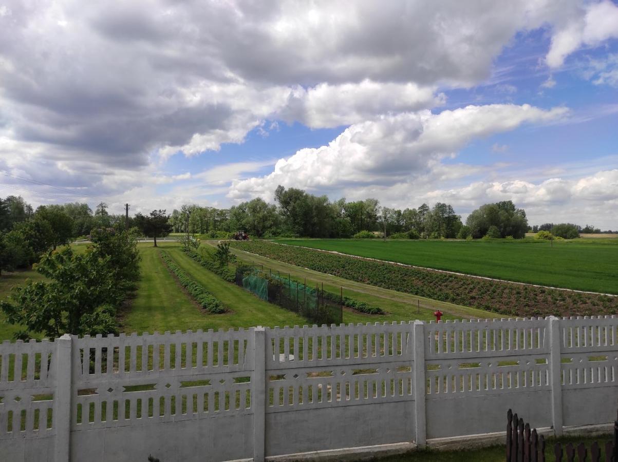 Agroturystyka Kobylnica Nad Wisla Exterior foto
