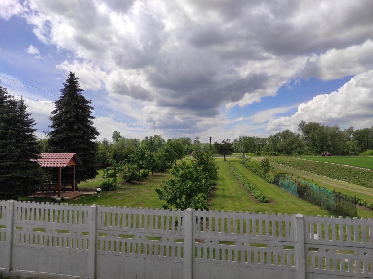 Agroturystyka Kobylnica Nad Wisla Exterior foto