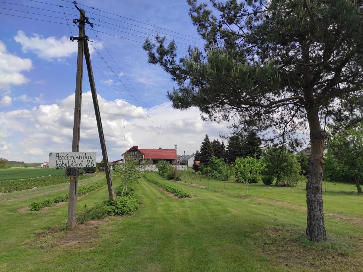 Agroturystyka Kobylnica Nad Wisla Exterior foto