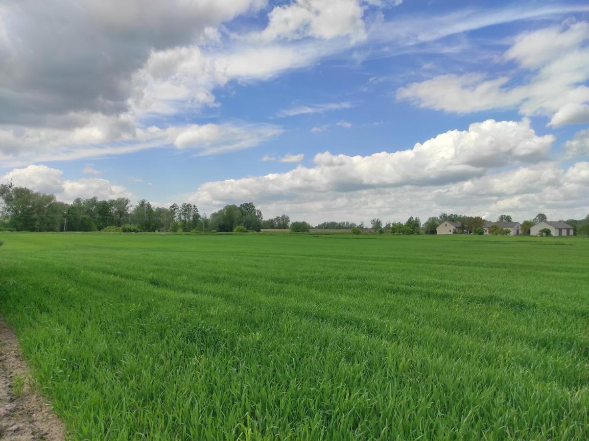 Agroturystyka Kobylnica Nad Wisla Exterior foto