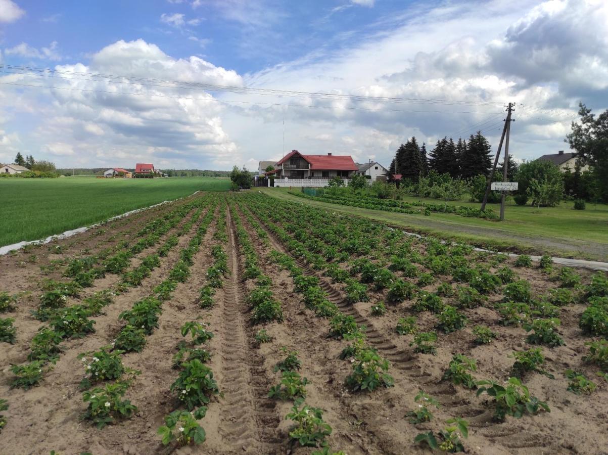 Agroturystyka Kobylnica Nad Wisla Exterior foto