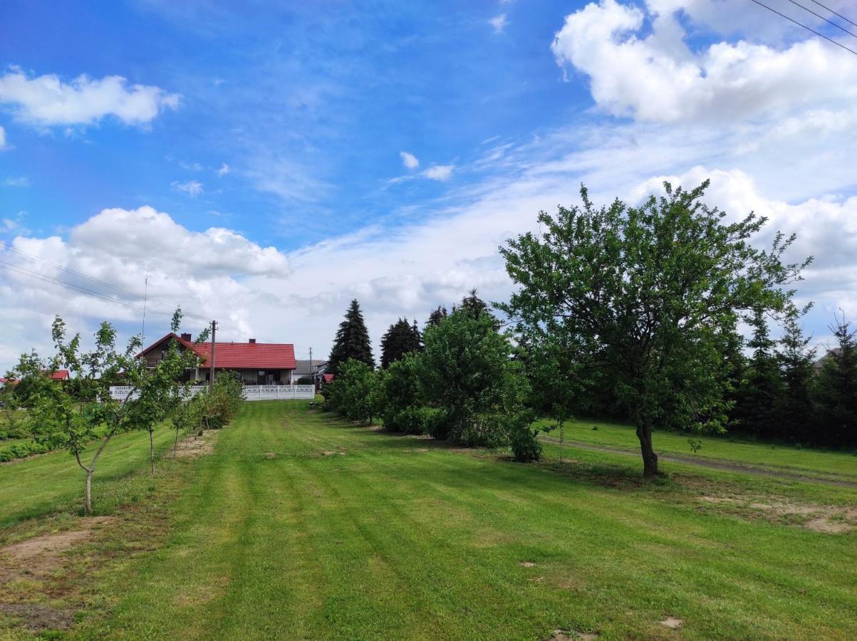 Agroturystyka Kobylnica Nad Wisla Exterior foto