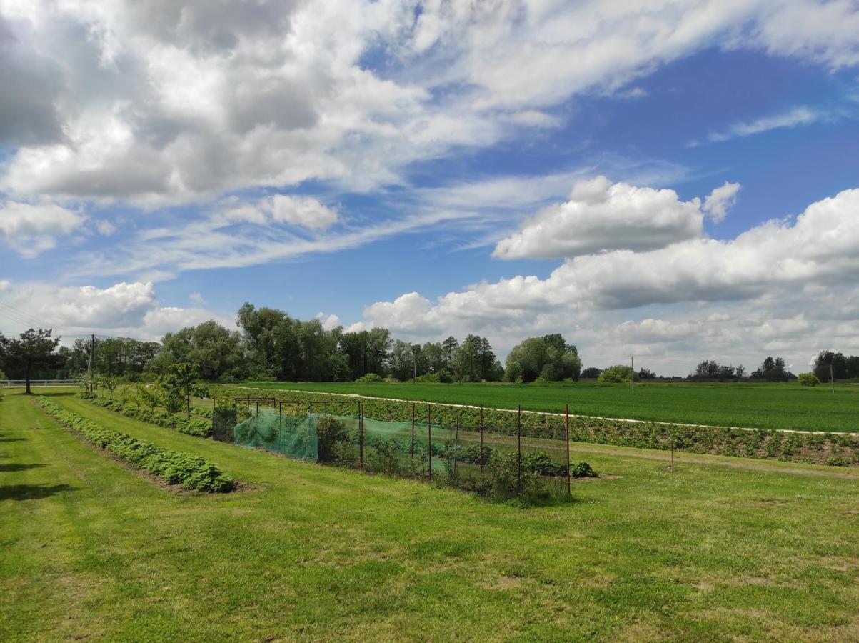 Agroturystyka Kobylnica Nad Wisla Exterior foto