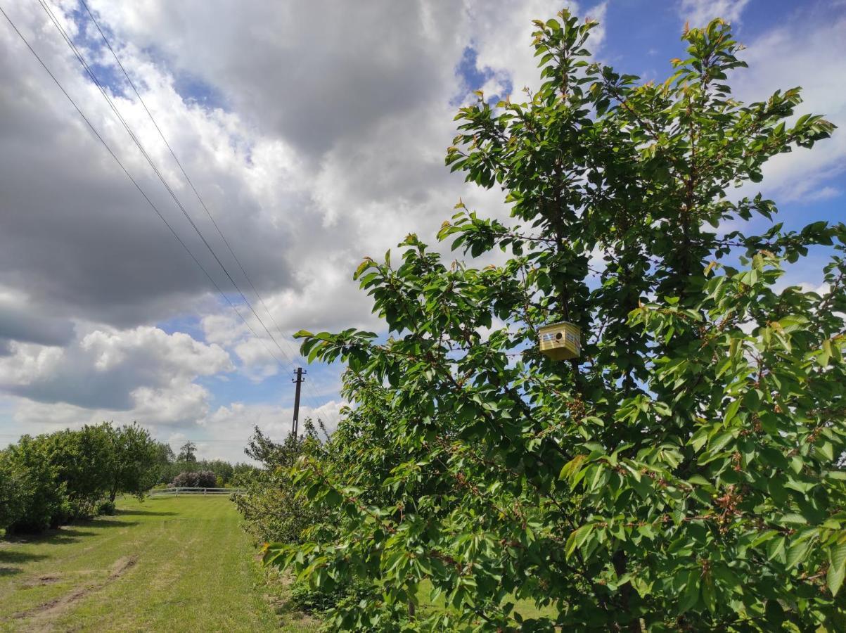 Agroturystyka Kobylnica Nad Wisla Exterior foto